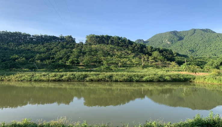 Siêu phẩm 40.000m đất vườn thổ cư ĐRSX bám đường nhựa viu núi có 3000m ao làm sinh thái giá trên 3tỷ